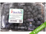 Organic Blueberries - 18oz