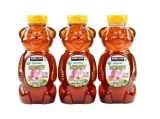 Kirkland Signature Organic Honey Bears 3/24 OZ