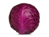 Cabbage Red 1 CT