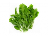 Arugula 1.5 Lbs