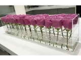 Rosebox Acrylic Rectangular Flower Box with 24 Roses