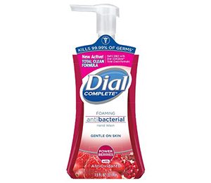 Dial Complete Cranberry Foaming Antibacterial Hand Wash 7.5-oz.