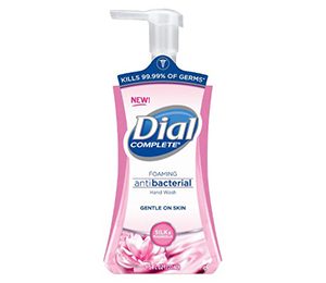 Dial Woodsy Hand Soap - 7.5 oz