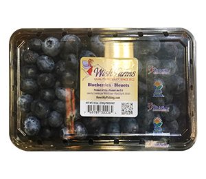 Wish Farms Blueberries 18 OZ Clamshell.