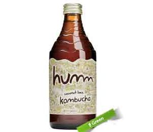 Humm Organic Coconut Lime Kombucha, 14 Oz