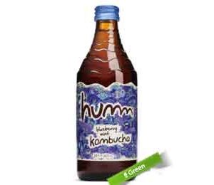 Humm Organic Blueberry Mint Kombucha, 14 Oz
