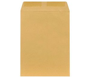 6 x 9 Economy Brown Kraft Catalog Envelopes, 100/Box