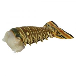 Frozen Lobster Tails, 0.9-1.6 lb