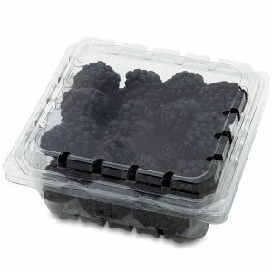 Organic Blackberries 6oz