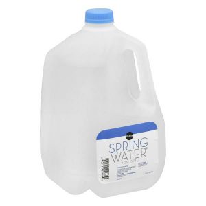 Publix Spring Water - 1 Gallon